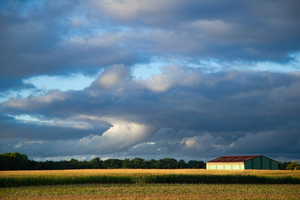 Pompes Funèbres Champs-sur-Marne